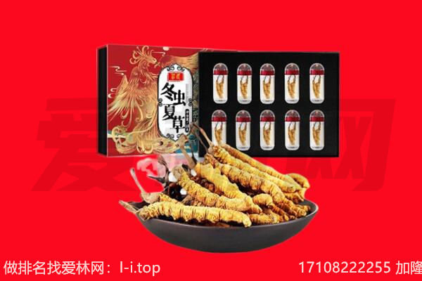 毕节市大方回收虫草.jpg